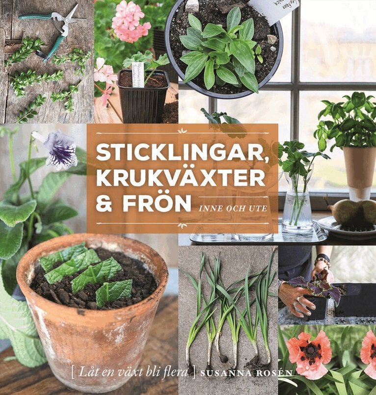Susanna Rosén - Sticklingar, krukväxter & frön : inne och ute, Inbunden