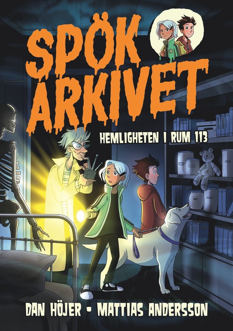 Dan Höjer - Hemligheten i rum 113, E-bok
