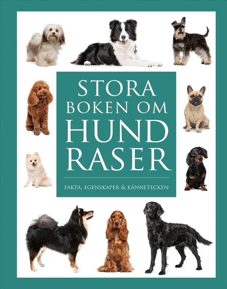 Tom Jackson - Stora boken om hundraser : Fakta, egenskaper och kännetecken, Inbunden