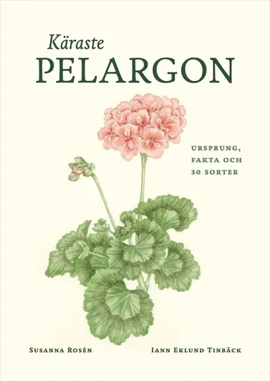 Susanna Rosén - Käraste pelargon : Ursprung, fakta och 30 sorter, Inbunden