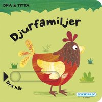 e-Bok Titta   dra Djurfamiljer