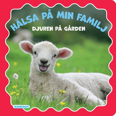 Hälsa på min familj - Djuren på gården, Kartonnage