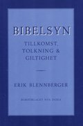 Bibelsyn : Tillkomst, tolkning och giltig