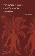 Tro och religion i historia och samhälle
