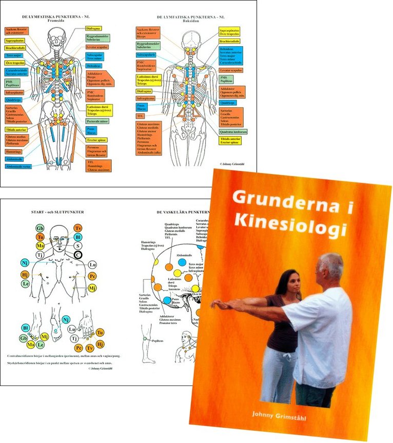 Johnny Grimståhl - Grunderna i kinesiologi : alternativmedicinska behandlingsmetoder (Bok + plansch), Häftad
