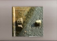 Eva Ermenz - Undervatten, Inbunden