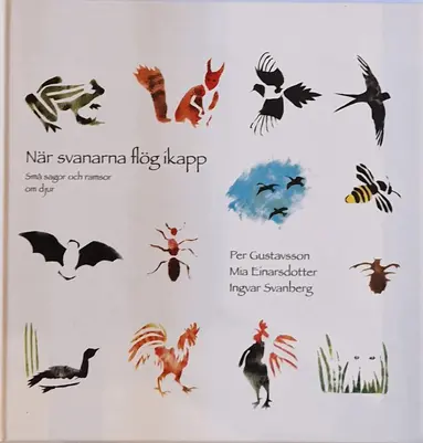 När svanarna flög ikapp
