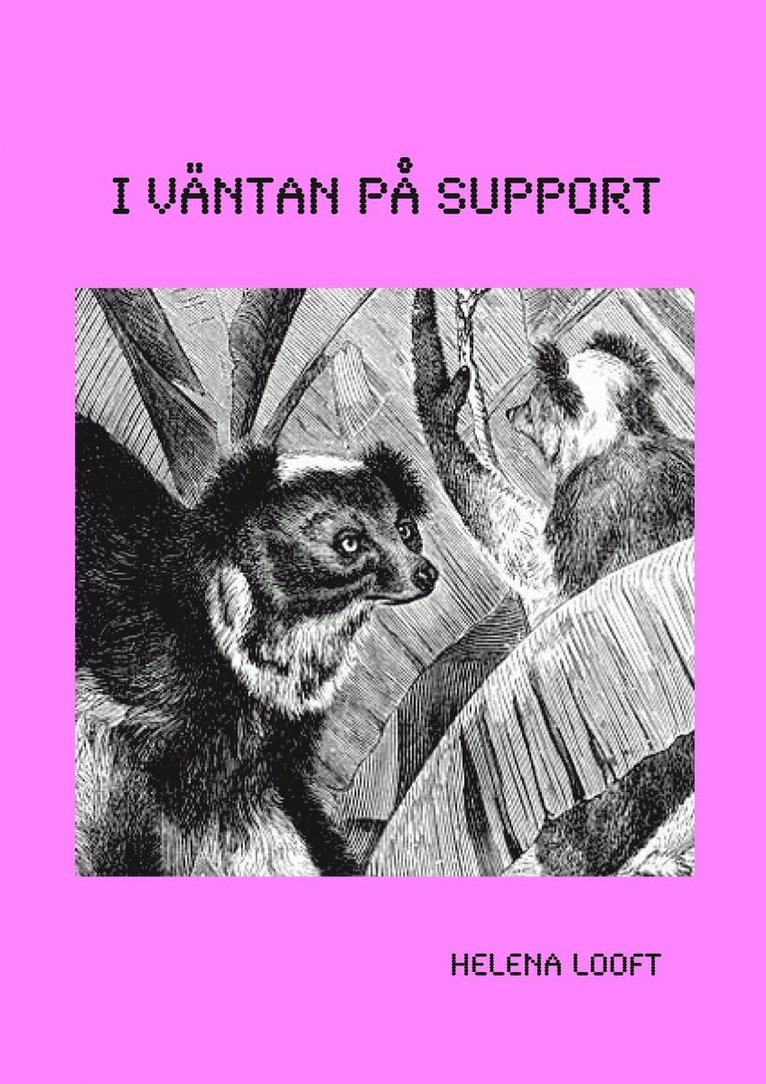 I support - I väntan på support, Häftad