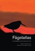 Fågelatlas : över Göteborg med kranskommuner
