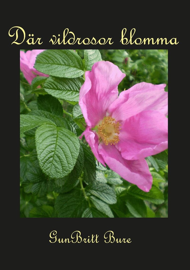 GunBritt Bure - Där vildrosor blomma, Häftad