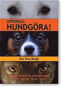 Åsa Tova Bergh - Uppdrag : hundgöra!, Kartonnage