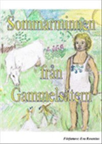 e-Bok Sommarminnen från Gammelsätern