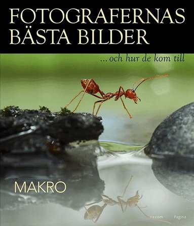 . 1X.com - Fotografernas bästa bilder - Makro, Inbunden