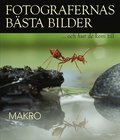 Fotografernas bsta bilder - Makro