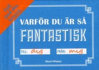 e-Bok Varför   Du är så fantastisk