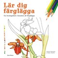 Lr dig frglgga : en vningsbok i konsten att frglgga