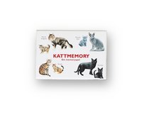 e-Bok Kattmemory