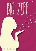 BIG ZEPP