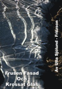 e-Bok Frusen fasad och krossat glas