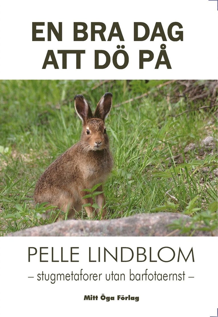 Pelle Lindblom - En bra dag att dö på, E-bok