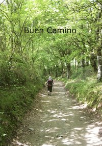 e-Bok Buen Camino