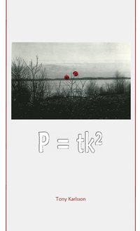 e-Bok P=tk²