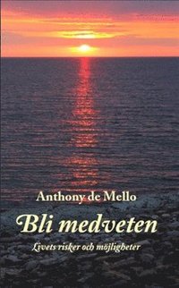 Bli medveten : livets risker och möjligheter