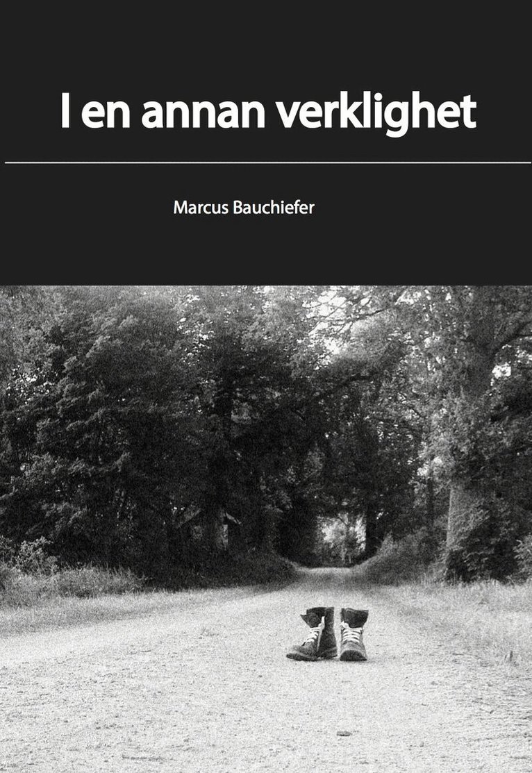 Marcus Bauchiefer - I en annan verklighet, Häftad