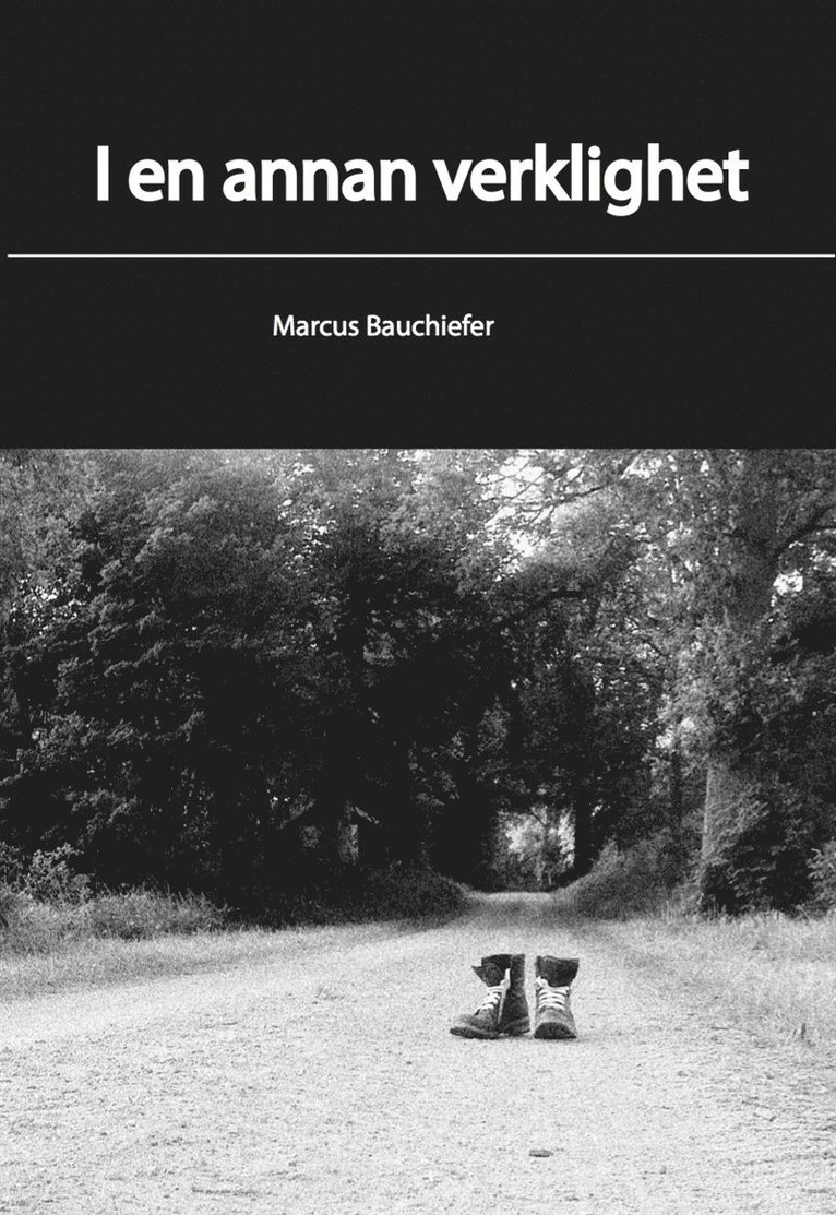 Marcus Bauchiefer - I en annan verklighet, E-bok