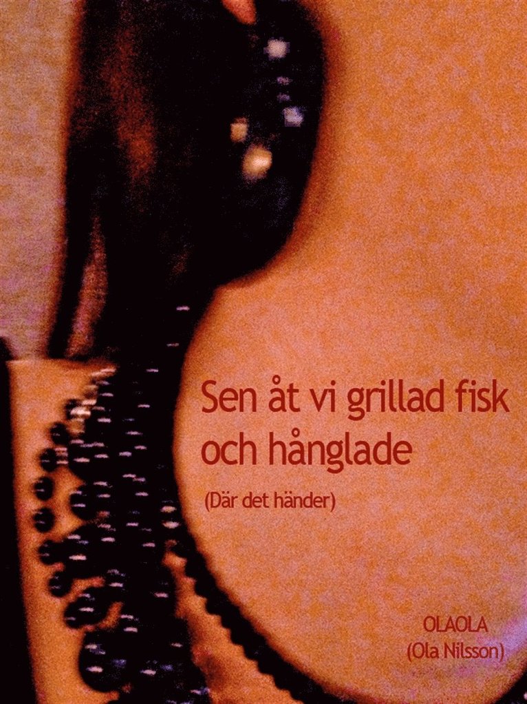 Ola Nilsson - Sen åt vi grillad fisk och hånglade (Där det händer), E-bok