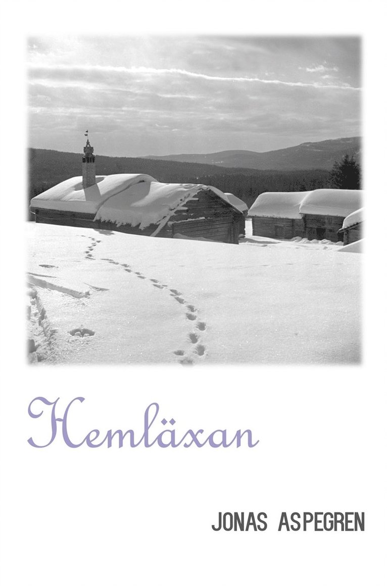 Jonas Aspegren - Hemläxan, E-bok