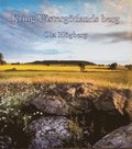 Kring Västergötlands berg