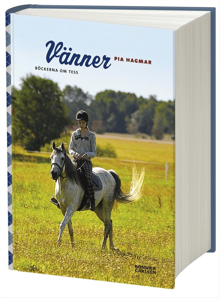 Pia Hagmar - Vänner, Inbunden