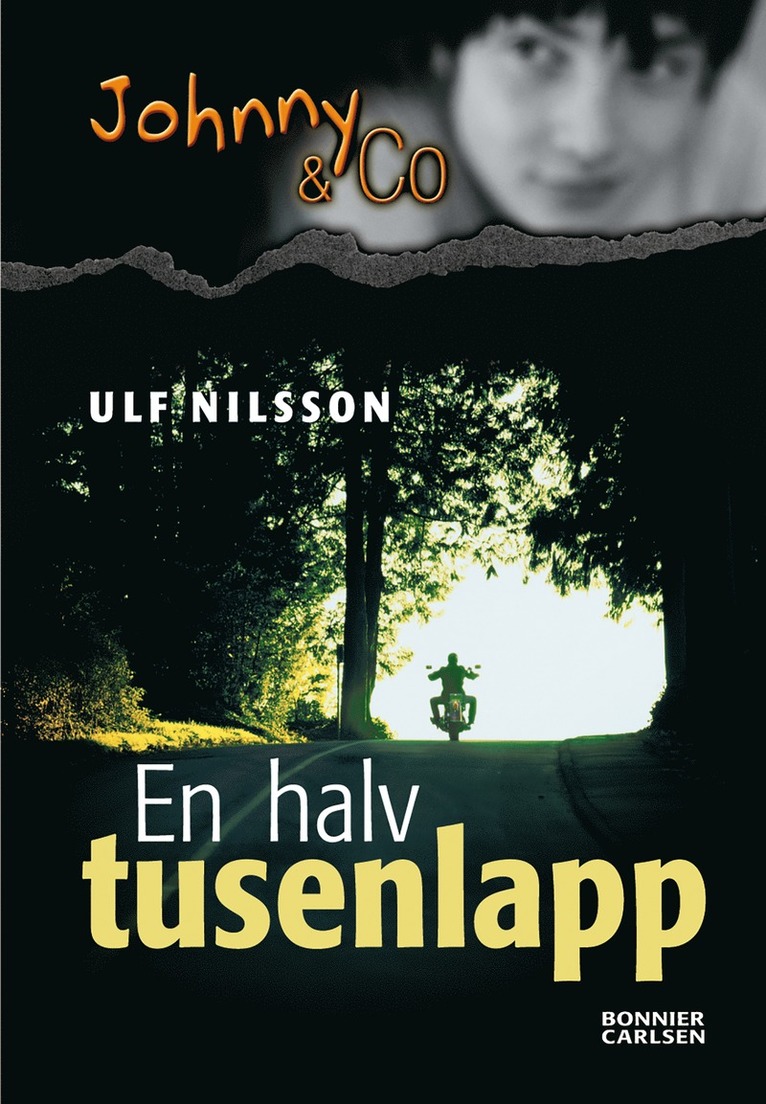 Ulf Nilsson - En halv tusenlapp, E-bok
