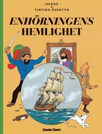 e-Bok Enhörningens hemlighet (stort format)