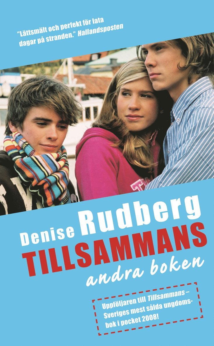 Denise Rudberg - Tillsammans: andra boken, E-bok