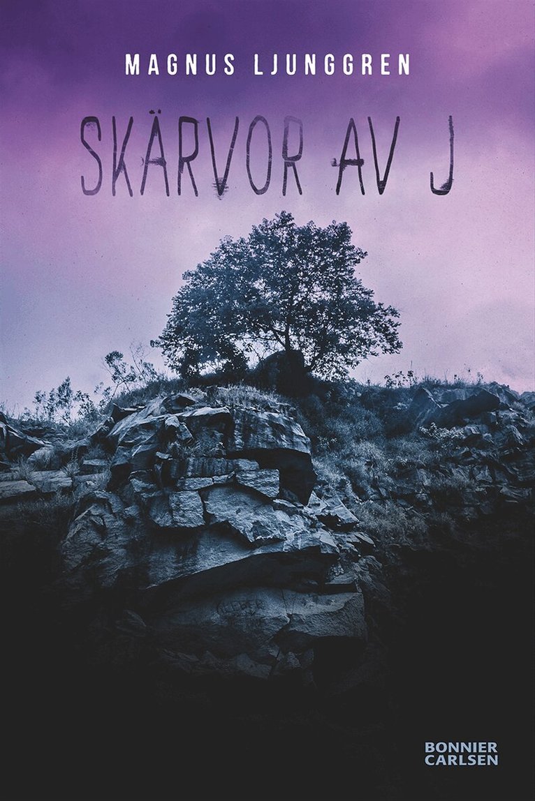 Magnus Ljunggren - Skärvor av J, Kartonnage