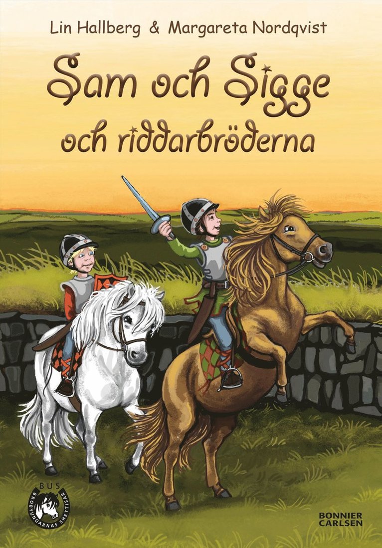 Lin Hallberg - Sam och Sigge och riddarbröderna, E-bok