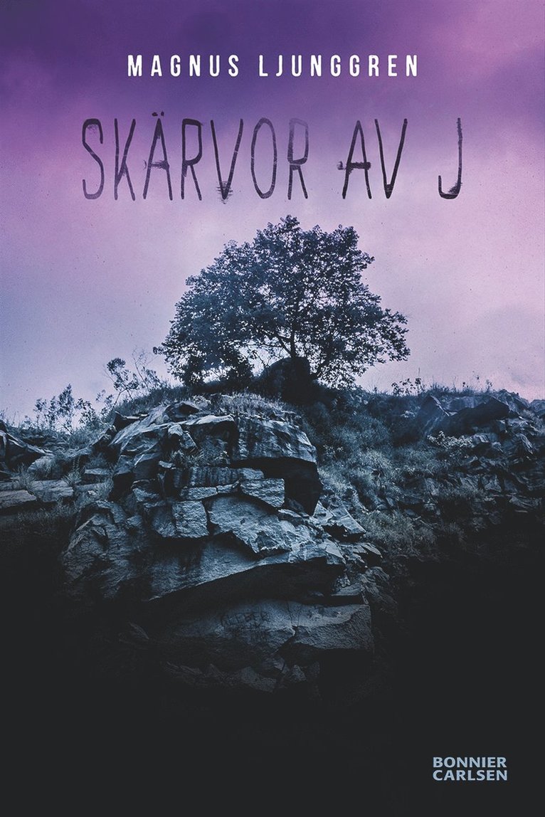 Magnus Ljunggren - Skärvor av J, E-bok