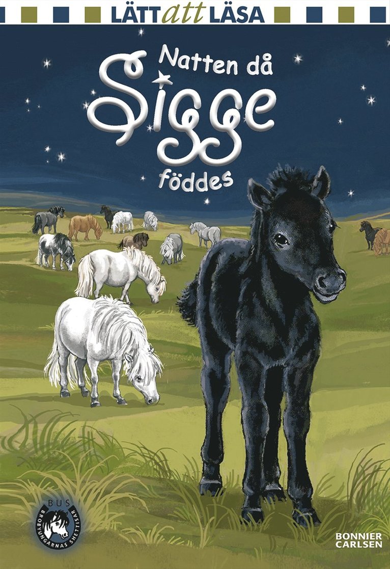 Lin Hallberg - Natten då Sigge föddes, E-bok