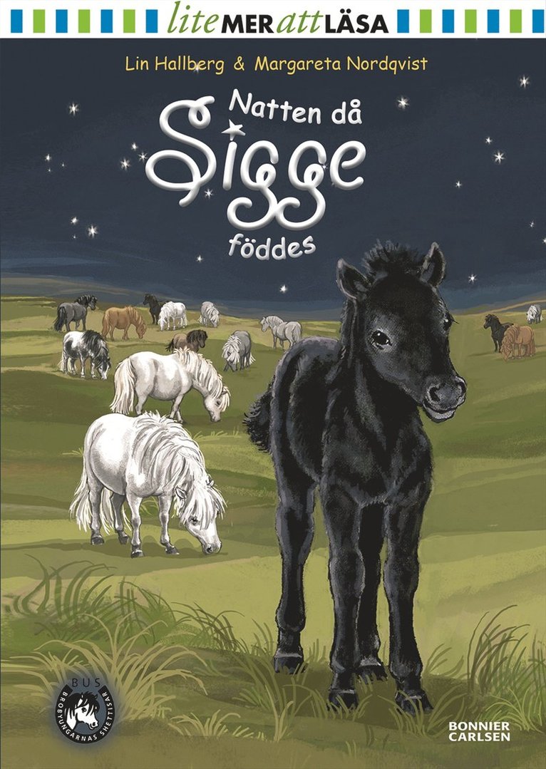 Lin Hallberg - Natten då Sigge föddes, E-bok