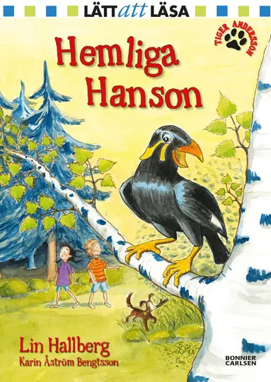 Lin Hallberg - Hemliga Hanson, E-bok