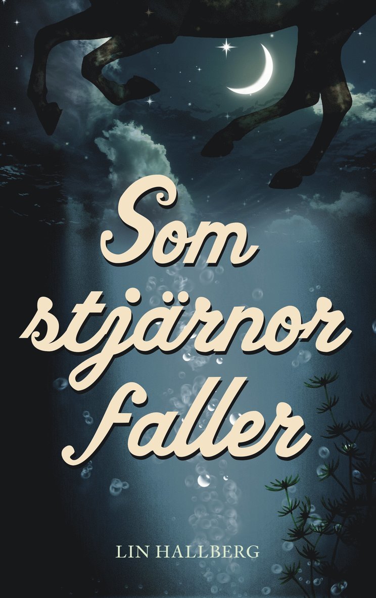 Lin Hallberg - Som stjärnor faller, E-bok