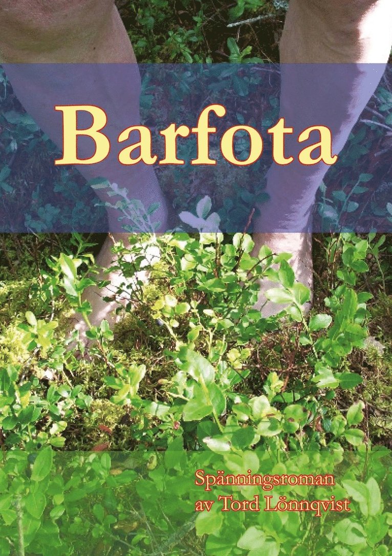 Tord Lönnqvist - Barfota, E-bok
