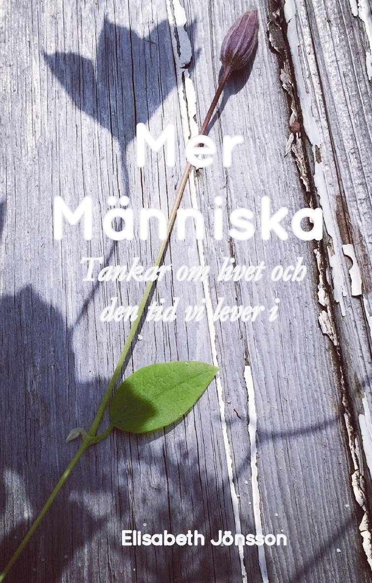 Elisabeth Jönsson - Mer Människa: Tankar om livet och den tid vi lever i, E-bok