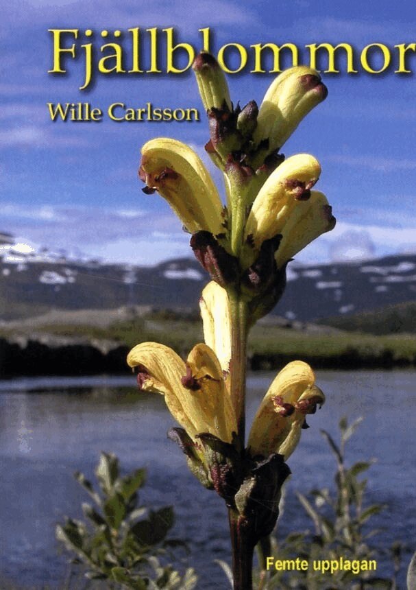 Wille Carlsson - Fjällblommor, Häftad