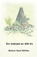 En mnad av ditt liv : en kvinnas dagbok