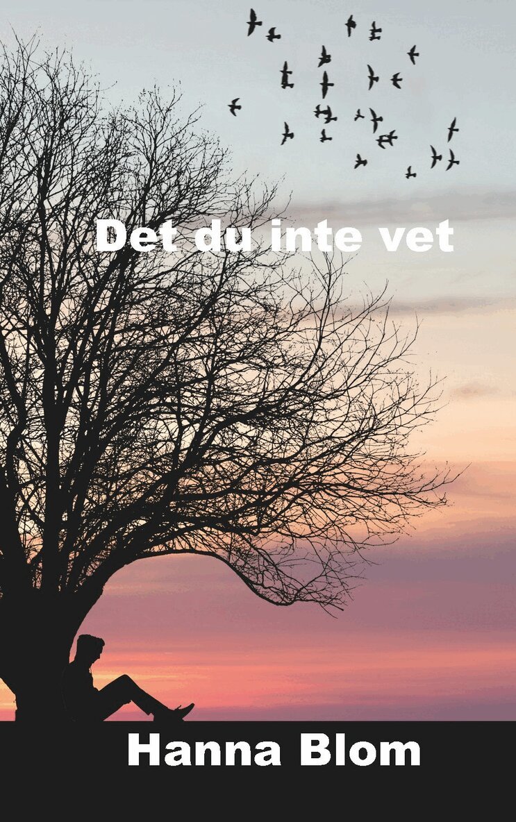 Hanna Blom - Det du inte vet, Häftad