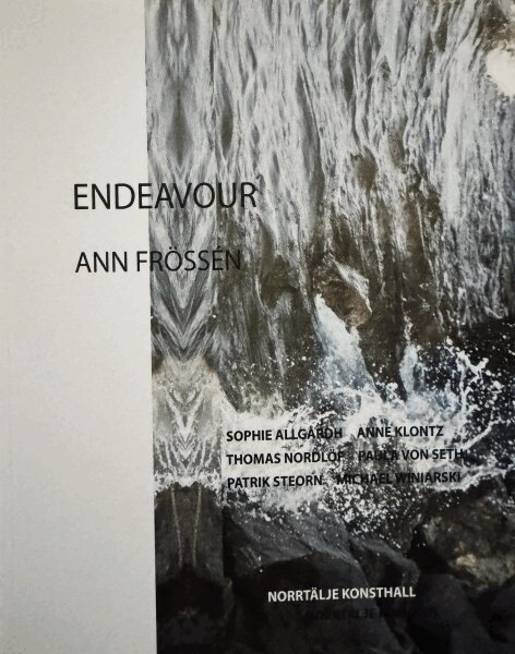 Sophie Allgårdh, Anne Klontz, Thomas Nordlöf, Paula von Seth, Patrik Steorn, Michael Winiarski - ENDEAVOUR Ann Frössén Norrtälje konsthall, Inbunden