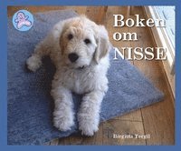 e-Bok Boken om Nisse